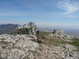 Tontorra