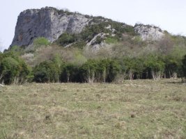 Argibel
