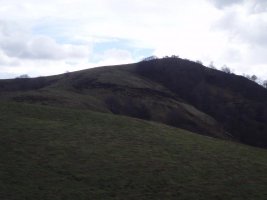 Zalhagaina