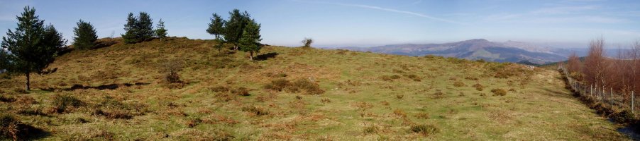 Monte Linares