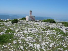 Tontorra