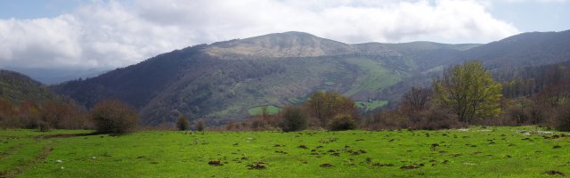 Auztarri Zelanetik