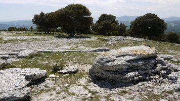Tontorreko harria
