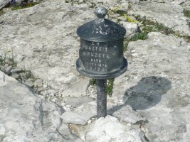 Buzoia
