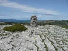 Tontorra