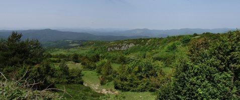 Ligarrietako gainaldea, Aintzioako bidetik