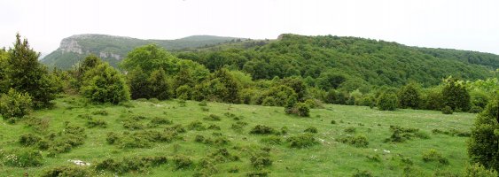Liraingo gainaldea
