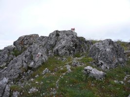 Tontorra
