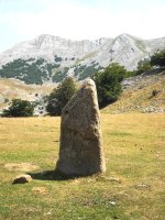 Zorrotzarri
