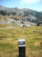 Kalparmuñobarrena