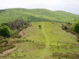 Burbona eta Arlobi