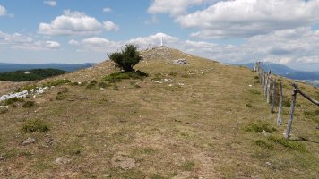 Tontorra