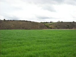 Sotoaldea