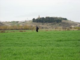 Sotoaldea