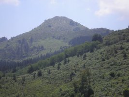Gantzorrotz