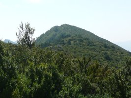 Revillallanos
