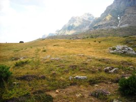 La Paúl