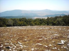Borderre