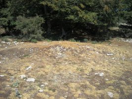Los Rasos 2