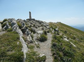 Tontorra