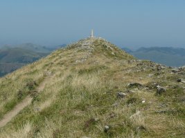 Tontorra