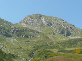 Orhi