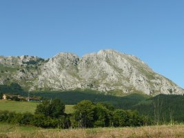 Axpetik