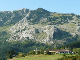 Axpetik
