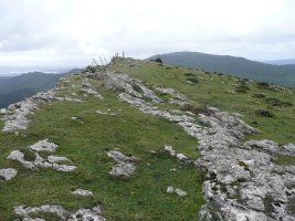 Tontorra