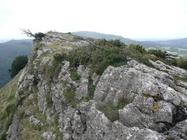 Tontorra