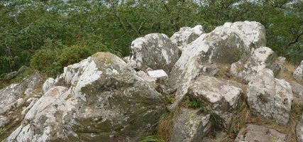 Arradoiko gailurra