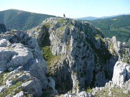 Tontorra