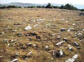 Irunsarioko Bidea hego