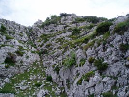 Landaredia harkaitzetan