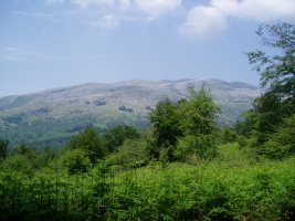 Irupagoeta-Lizarrusti: Malkorri, Uarrain, ...