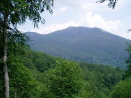 Irupagoeta-Lizarrusti: Putxerri