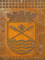 Armarria, estolderiako estalkian