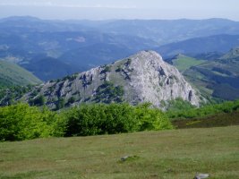 Andarto aumetagainetik