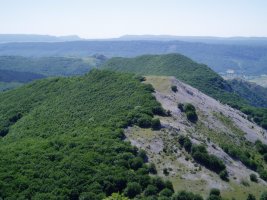 Imelekutik allaitz eta Umandia