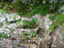 Kaltzada ondoko iturria