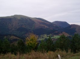 Belaute eta Gallarraga Sasiburutik