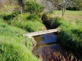 Kaltzadako harrizko zubia