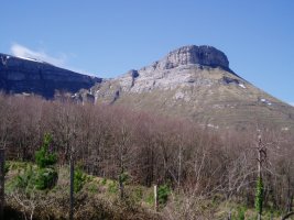 Ungino eta Ataxa ataka