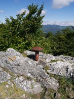 Illarraunduko txartelontzia