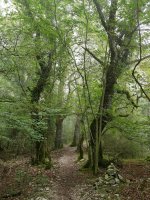 Uharte-Arakil aldeko bidea