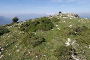Ipuruaren gatazkak Ihurbain aldeko eremuan