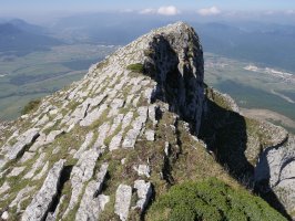 Ertza estutzen doa gerturatu ahala