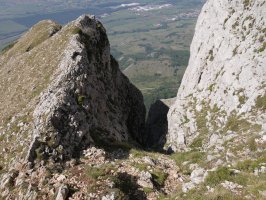 Ihurbaingo korrikore amilkorraren irteera