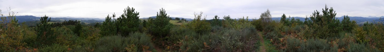 Tontorretik 360ºtako ikuspegia