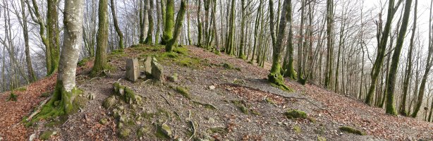 Oberan gaina, Mendebaldetik